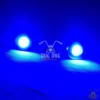 Parking Light Unit White for Royal Enfield Reborn 350
